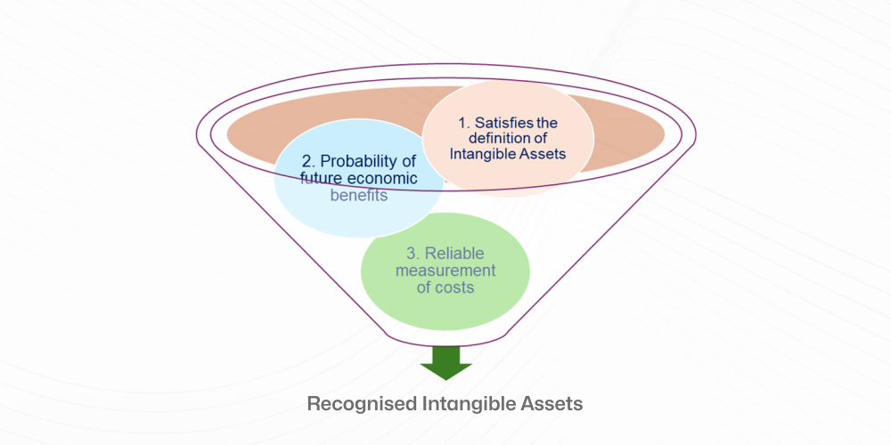 Recognised Intangible Assets
